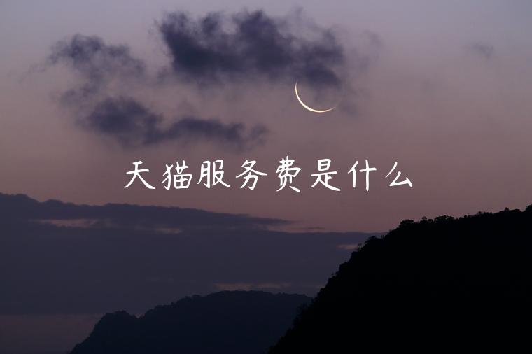 天貓服務(wù)費是什么